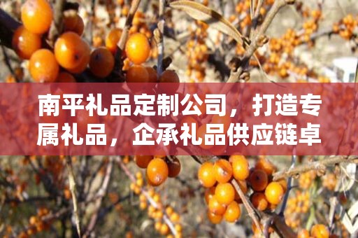 南平礼品定制公司，打造专属礼品，企承礼品供应链卓越服务