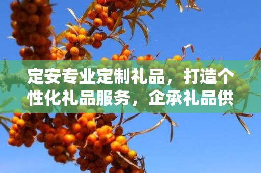定安专业定制礼品，打造个性化礼品服务，企承礼品供应链助力商务发展