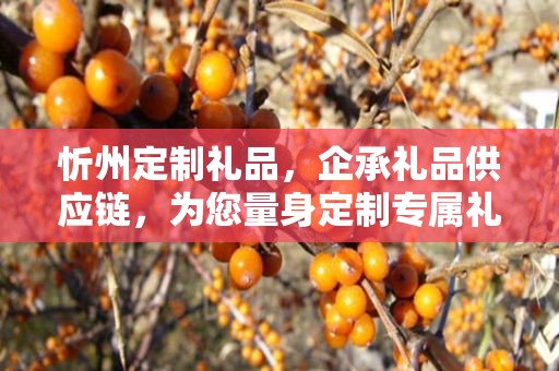 忻州定制礼品，企承礼品供应链，为您量身定制专属礼品