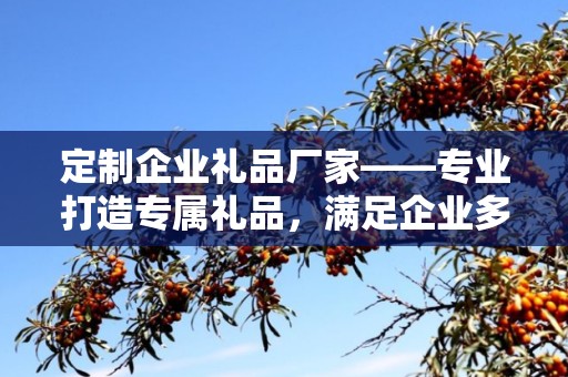 定制企业礼品厂家——专业打造专属礼品，满足企业多元化需求