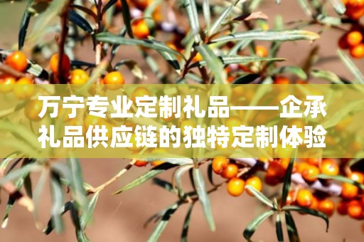 万宁专业定制礼品——企承礼品供应链的独特定制体验