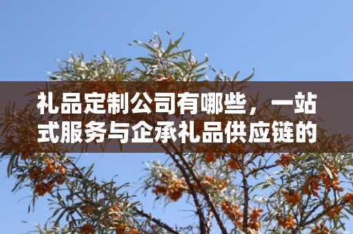 礼品定制公司有哪些，一站式服务与企承礼品供应链的专业选择