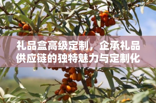 礼品盒高级定制，企承礼品供应链的独特魅力与定制化之路