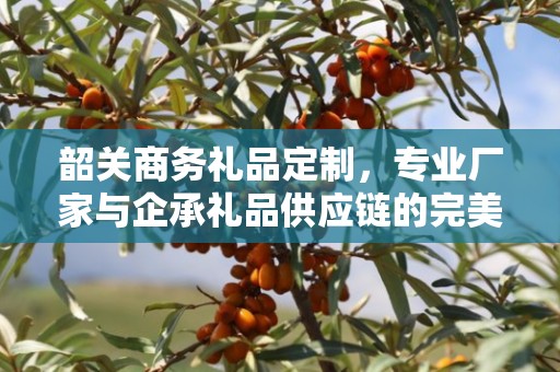 韶关商务礼品定制，专业厂家与企承礼品供应链的完美结合