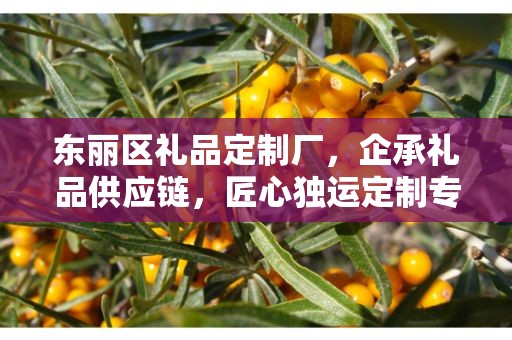 贵州防水定制礼品，企承礼品供应链的独特优势与创新服务